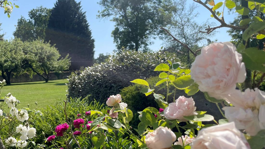 Domaine La Buissonnière - Maison d’hôtes de charme près de Metz en Moselle, Lorraine, France - Vue du jardin